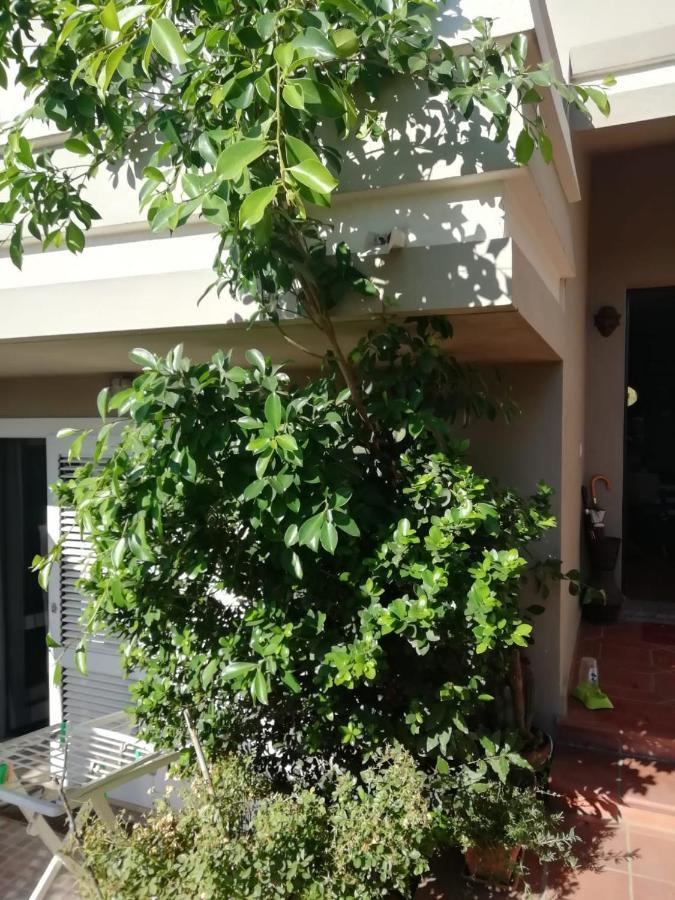 B&B Filomena Santa Giusta Ngoại thất bức ảnh