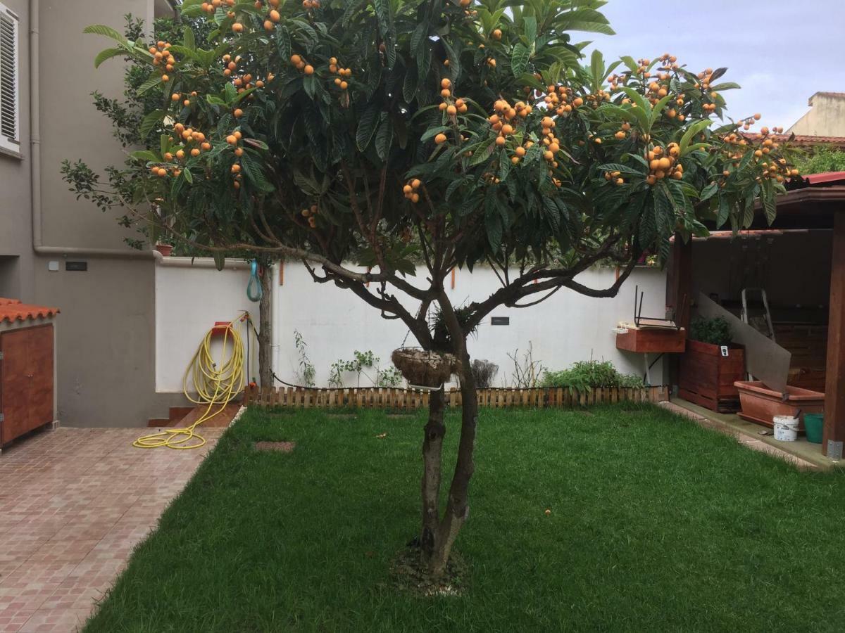 B&B Filomena Santa Giusta Ngoại thất bức ảnh